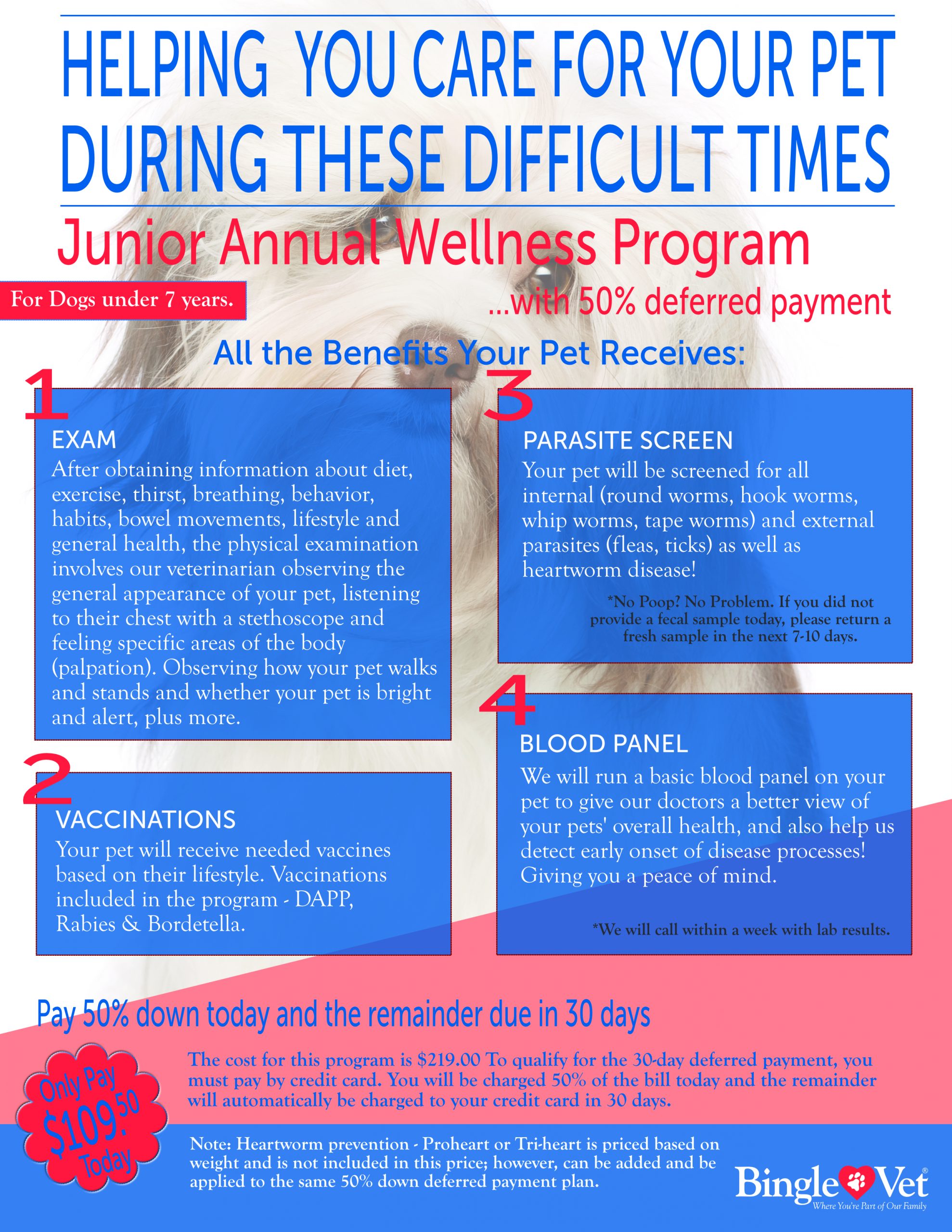 BV-Junior-Wellness-Programs-scaled Junior Wellness Programs