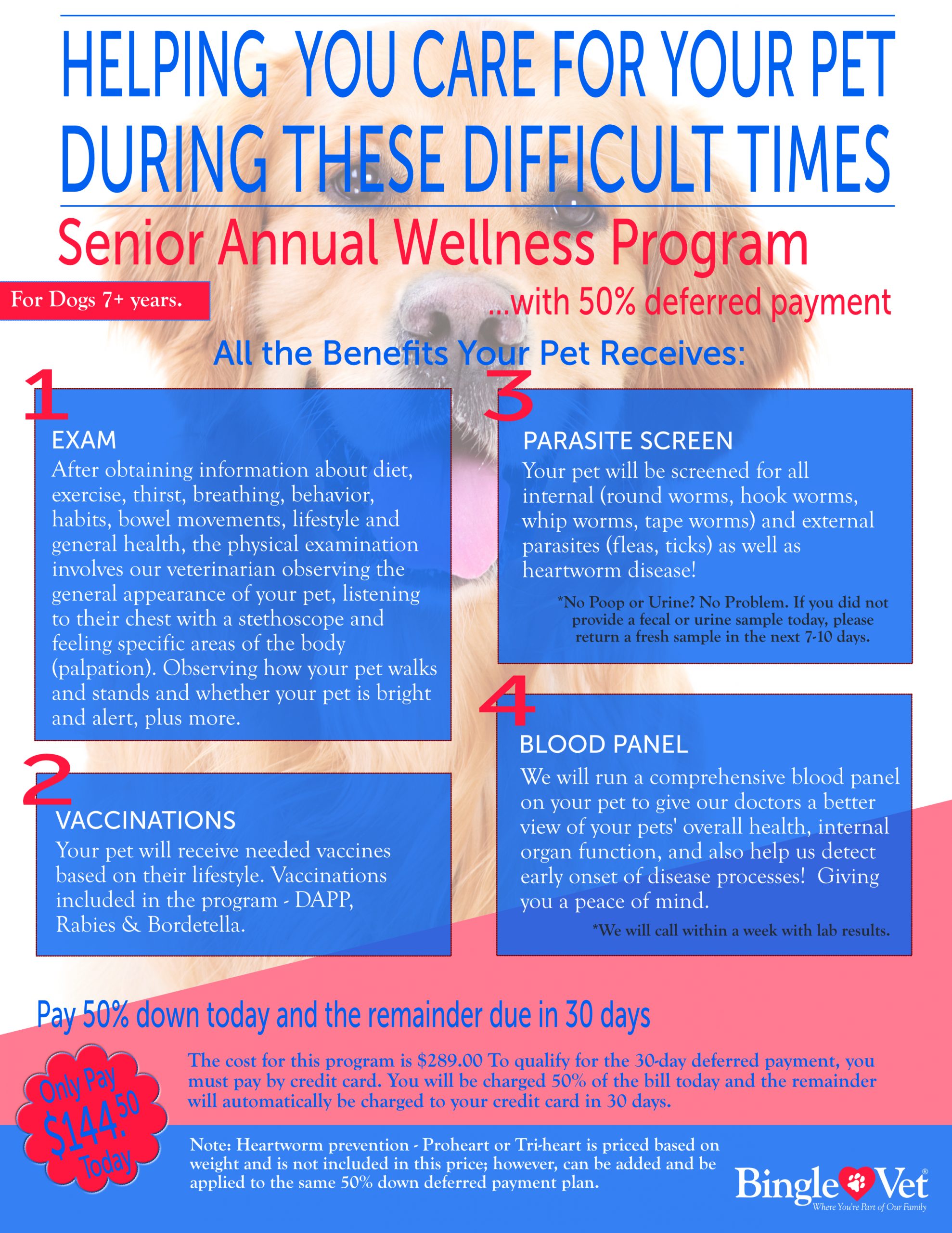 BV-Senior-Wellness-Programs-scaled Senior Wellness Programs