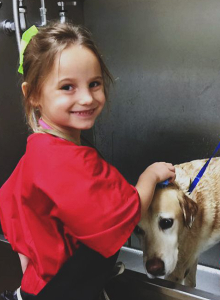 Girl washing a dog