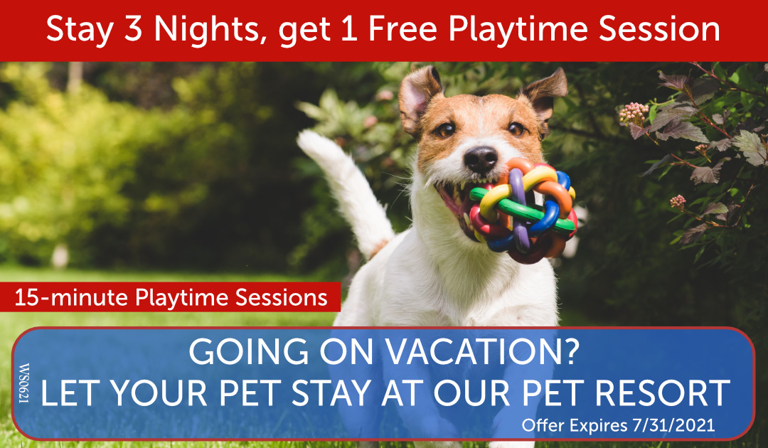 Monthly-Website-Offer Stay 3 Nights at Resort and get 1 Free Playtime Session