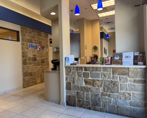 Bingle Vet Katy Reception Area