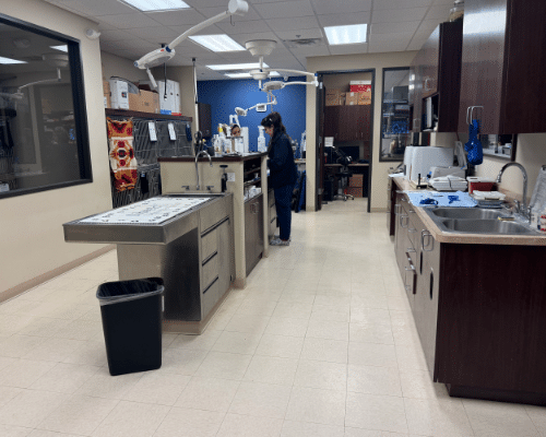 Bingle Vet Katy Treatment Area