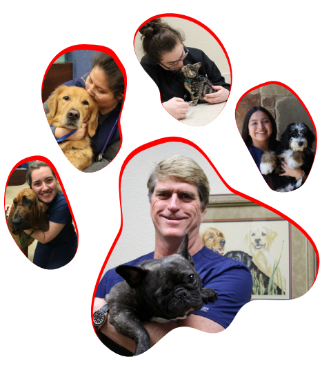 Dr. Vaughan and Team in Paw Print Veterinary team with various animals.
