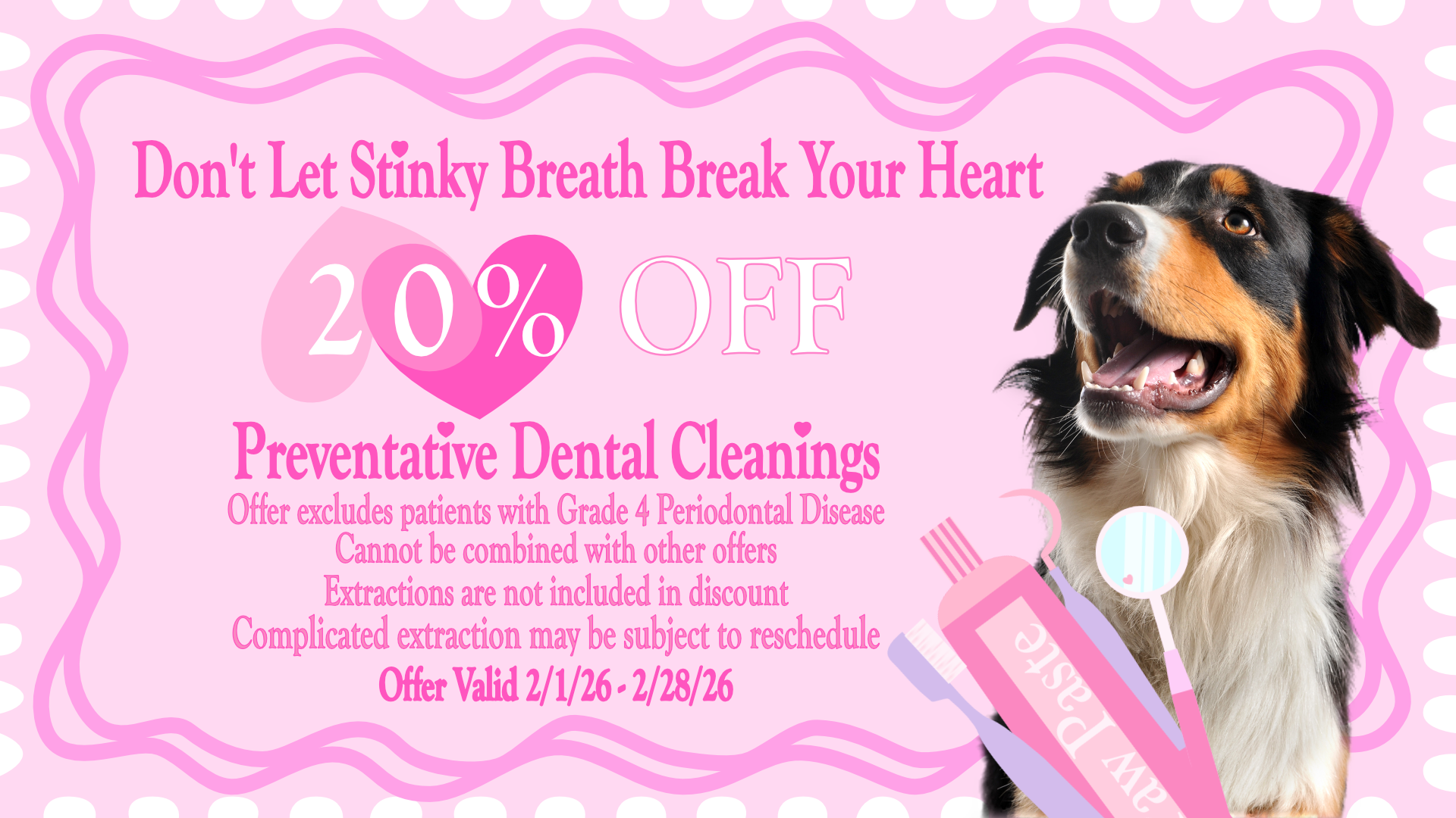 Dental Special - 20% OFF